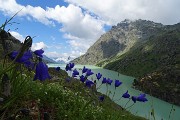 Il grandioso scenario di Cima Fontana (3068 m) in Valmalenco il 29 luglio 2016 - FOTOGALLERY